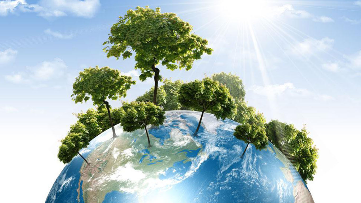 Atık Hammadde Tedariği