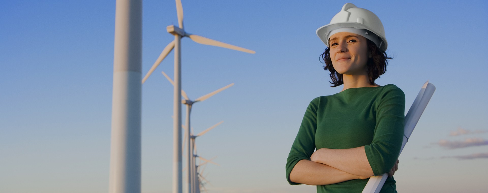 Biyolojik Enerji Sistem Danışmanlığı